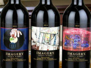 Imagery Wine Bottles