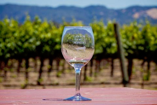 Wine Tasting Larson Family Winery Sonoma Valley