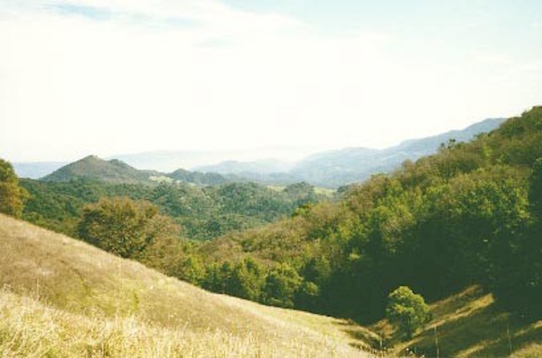 Surgarloaf Ridge